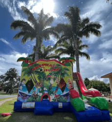 IMG 5407 1751753300 Tropical Island Combo 7